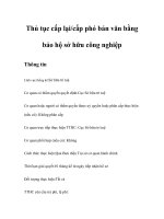 Tài liệu Thủ tục cấp lại/cấp phó bản văn bằng bảo hộ sở hữu công nghiệp ppt