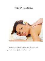 Tài liệu “Cận vệ” của phái đẹp doc