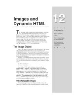 Tài liệu Javascript bible_ Chapter 12 ppt