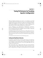 Tài liệu Practical mod_perl-CHAPTER 11:Tuning Performance by Tweaking Apache’s Configuration ppt