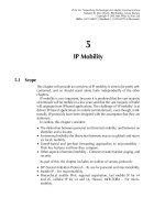Tài liệu IP for 3G - (P5) docx