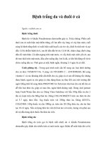 Tài liệu Bệnh trắng da và đuôi ở cá pptx