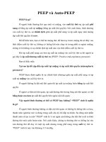 Tài liệu Giáo trình PEEP và Auto-PEEP docx