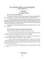 Tài liệu QUY CHẾ HỌAT ĐỘNG CỦA BAN KIỂM SÓAT CTY CỔ PHẦN pptx