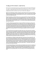 Tài liệu Tác động của WTO với kinh tế - xã hội Việt Nam pdf