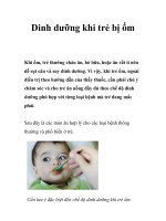 Tài liệu Dinh dưỡng khi trẻ bị ốm pdf