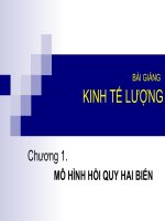 Tài liệu Giáo trình Kinh tế lượng_ Chương 1 docx