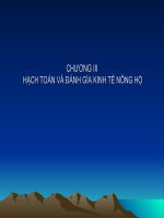 Tài liệu Chương III: Hạch toán và đánh giá kinh tế nông hộ ppt