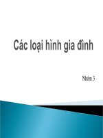 Tài liệu Các loại hình gia đình doc