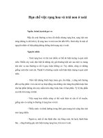 Tài liệu Hạn chế việc rụng hoa và trái non ở xoài docx