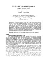 Các di tích văn hóa champa ở thừa thiên huế 