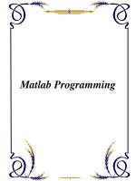 Tài liệu Matlab Programming doc