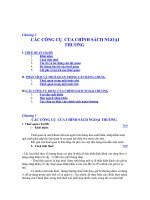 Tài liệu CÁC CÔNG CỤ CỦA CHÍNH SÁCH NGOẠI THƯƠNG ppt