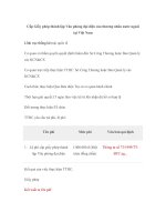 Tài liệu Cấp Giấy phép thành lập Văn phòng đại diện của thương nhân nước ngoài tại Việt Vam docx