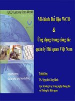 Tài liệu Mô hình Dữ liệu WCO & Ứng dụng trong công tác quản lý Hải quan Việt Nam doc