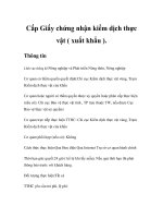 Tài liệu Cấp Giấy chứng nhận kiểm dịch thực vật ( xuất khẩu ) pdf