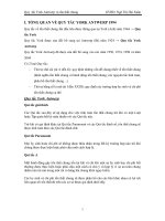 TIỂU LUẬN QUY TẮC YORK ANTWERP & TỔN THẤT CHUNG