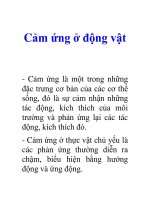 Tài liệu Cảm ứng ở động vật pdf