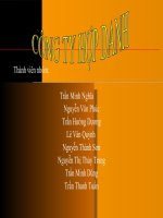 Tài liệu Bài thuyết trình công ty hợp danh docx