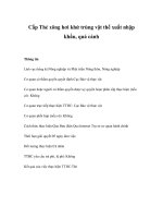 Tài liệu Cấp Thẻ xông hơi khử trùng vật thể xuất nhập khẩu, quá cảnh ppt