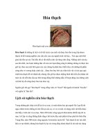 Tài liệu Hóa thạch doc