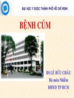 Tài liệu Bệnh cúm doc