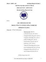  Chu trình doanh thu trong công ty cổ phần nông nghiệp Hải Phòng (horizon pacific)