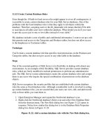 Tài liệu Create Custom Database Roles pdf