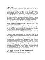 Ô nhiễm môi trường đất 