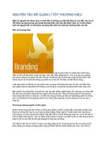 Tài liệu NGUYÊN TẮC ĐỂ QUẢN LÍ TỐT THƯƠNG HIỆU pdf