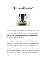 Tài liệu CEO làm việc ở đầu ? docx