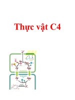 Tài liệu Tự nhiên,sinh học, C4, thực vật, cacbon,qang hợp,điôxít cacbon,Calvin-Benson pdf