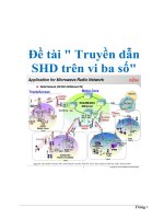 Tài liệu Đề tài 