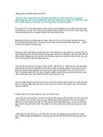 Tài liệu “Bằng cấp chỉ là điều kiện sơ tuyển” docx