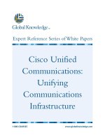 Tài liệu Cisco Unified Communications: Unifying Communications Infrastructure ppt
