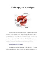 Tài liệu Nhóm nguy cơ bị chai gan ppt