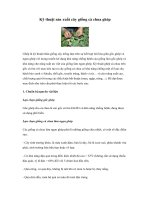 Tài liệu Kỹ thuật sản xuất cây giống cà chua ghép ppt