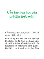 Tài liệu Cấu tạo hoá học của prôtêin (bậc một) pdf