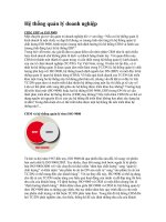 Tài liệu Hệ thống quản lý doanh nghiệp docx