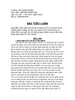 Tài liệu Tiểu luận: 