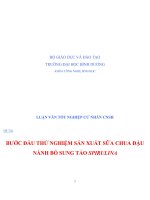 LUẬN VĂN BƯỚC ĐẦU THỬ NGHIỆM SẢN XUẤT SỮA CHUA ĐẬU NÀNH BỔ SUNG TẢO SPIRULINA