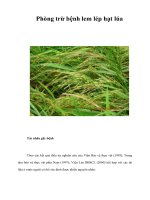 Tài liệu Phòng trừ bệnh lem lép hạt lúa pptx