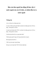 Tài liệu Báo cáo đưa người lao động đi làm việc ở nước ngoài của các tổ chức, cá nhân đầu tư ra nước ngoài doc