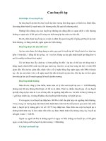 Tài liệu Cao huyết áp pdf