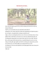 TÌNH YÊU NÀY LÀ CÓ THẬT...