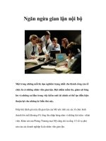 Tài liệu Ngăn ngừa gian lận nội bộ pdf