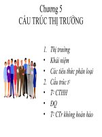 Tài liệu Chương 5: Cấu trúc thị trường doc