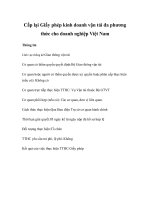 Tài liệu Cấp lại Giấy phép kinh doanh vận tải đa phương thức cho doanh nghiệp Việt Nam docx