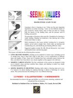 Tài liệu Seeing Values pptx