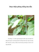 Tài liệu Dược thiện phòng chống đau đầu pdf